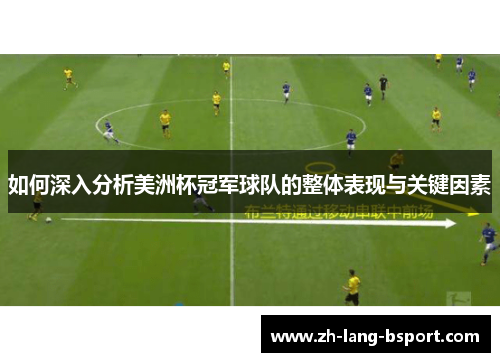 如何深入分析美洲杯冠军球队的整体表现与关键因素