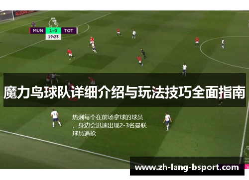 魔力鸟球队详细介绍与玩法技巧全面指南 魔力鸟球队详细介绍与玩法技巧全面指南